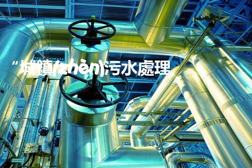 “城鎮(zhèn)污水處理污泥變廢為寶，助力綠色環(huán)保新篇章”